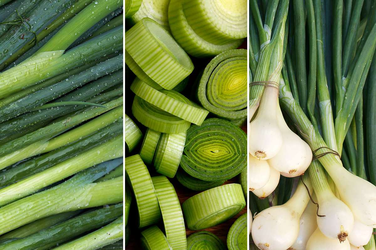 The Difference Between Green Onions, Scallions, Spring Onions, Garlic Scapes, Leeks and Ramps