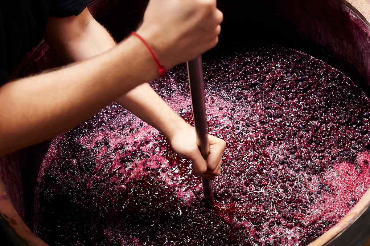 Natural Wine 101: An Explainer on Low-Intervention Wine