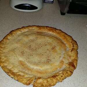 Sour Cream Raisin Pie I