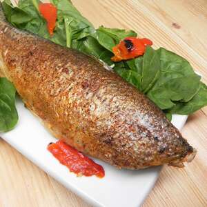 Sharkey's Barbequed Trout