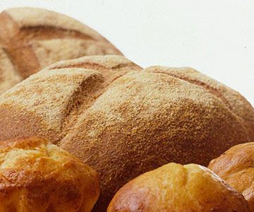 Honey Whole-Wheat Bread