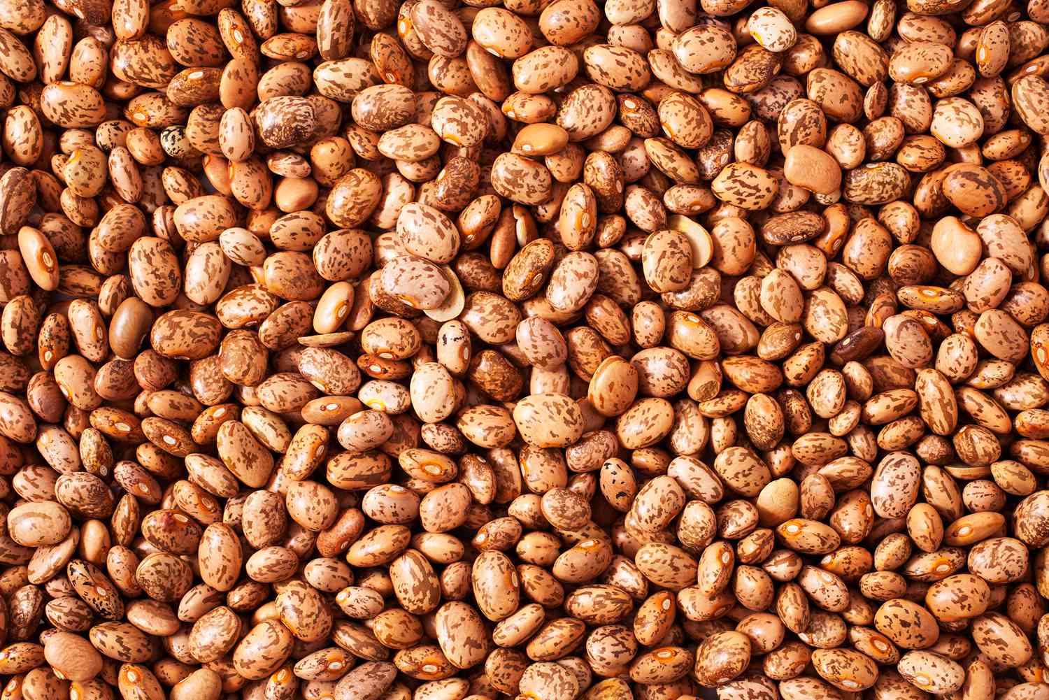 Are Pinto Beans Healthy? Here's What a Dietitian Has to Say ...