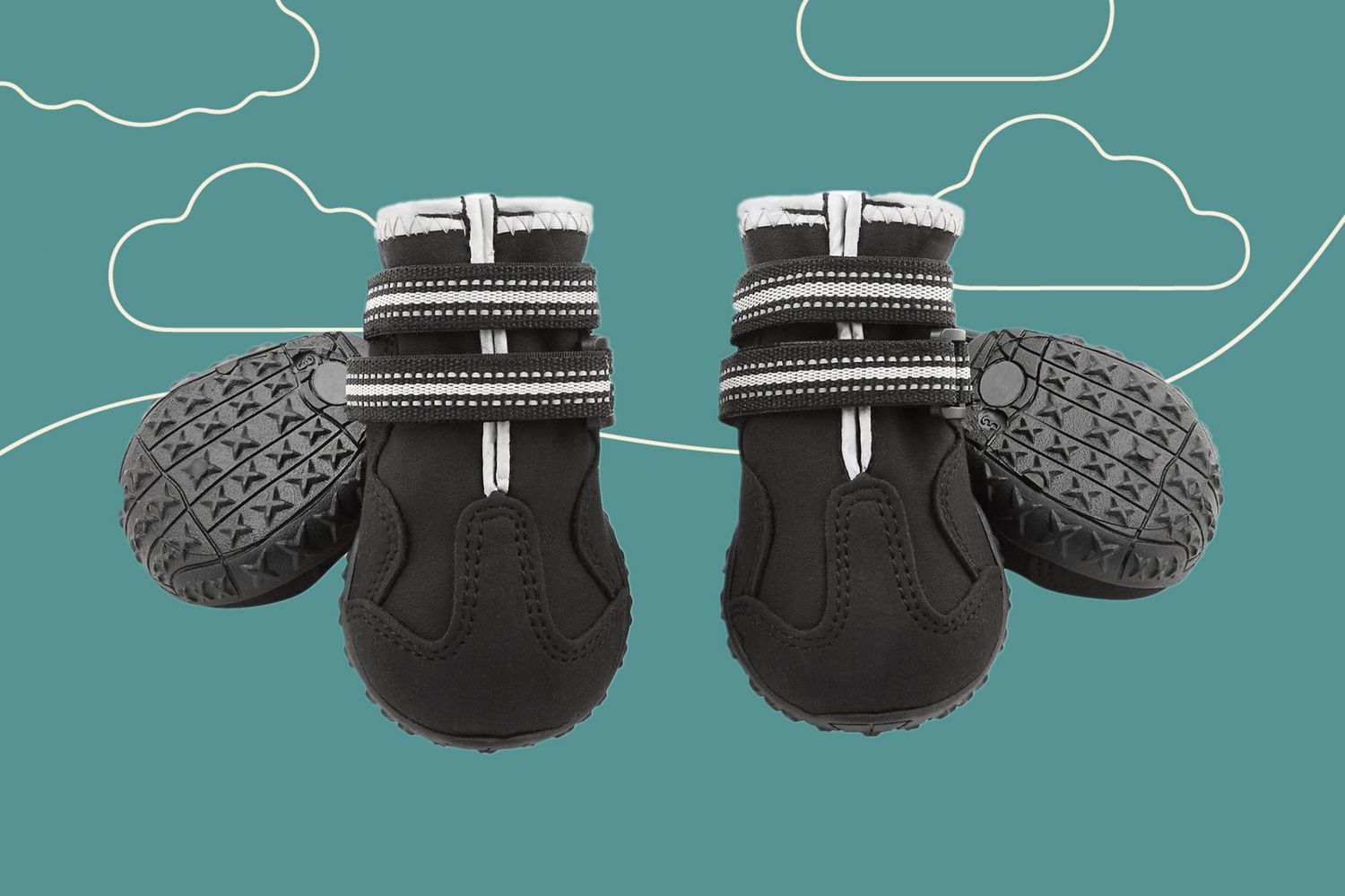 Footwear for Fido: Keep Those Precious Paws Safe With Winter Dog Boots