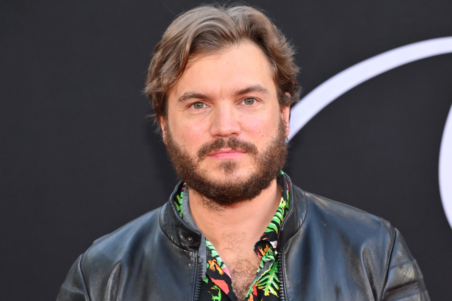 Emile Hirsch reflects on 2015 assault: 'The worst moment of my whole ...