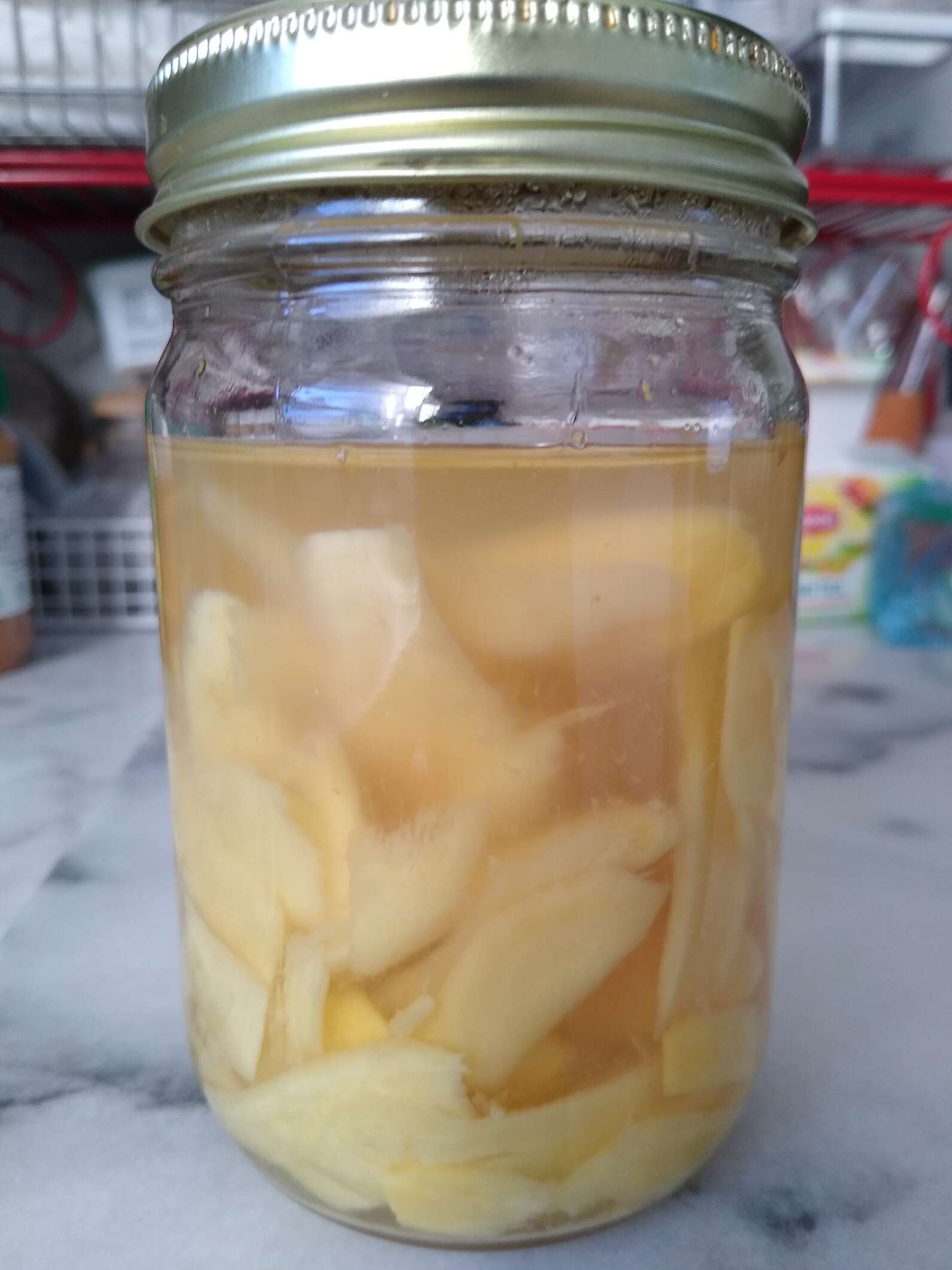 lacto-fermented ginger pickles