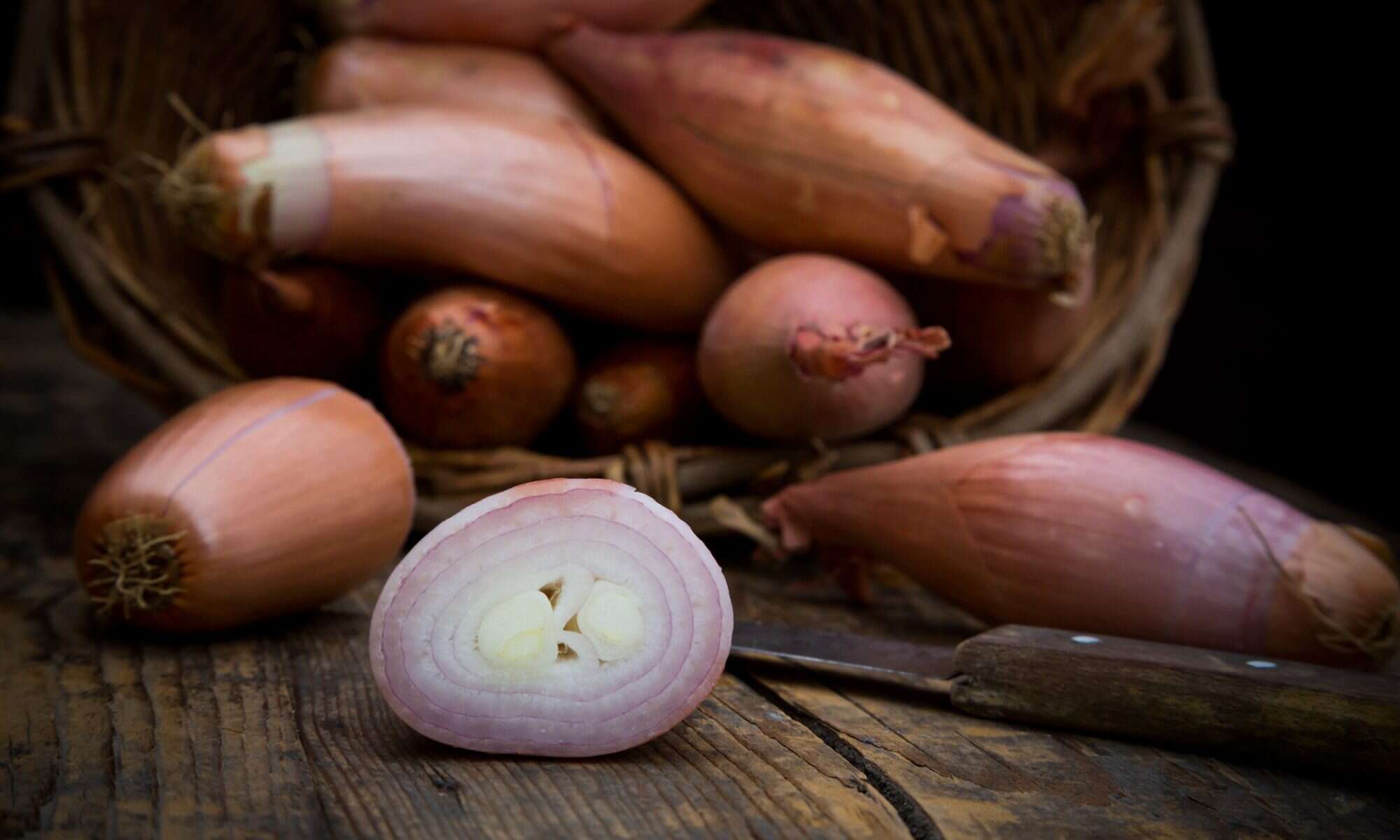 Flavor Friday] Shallot