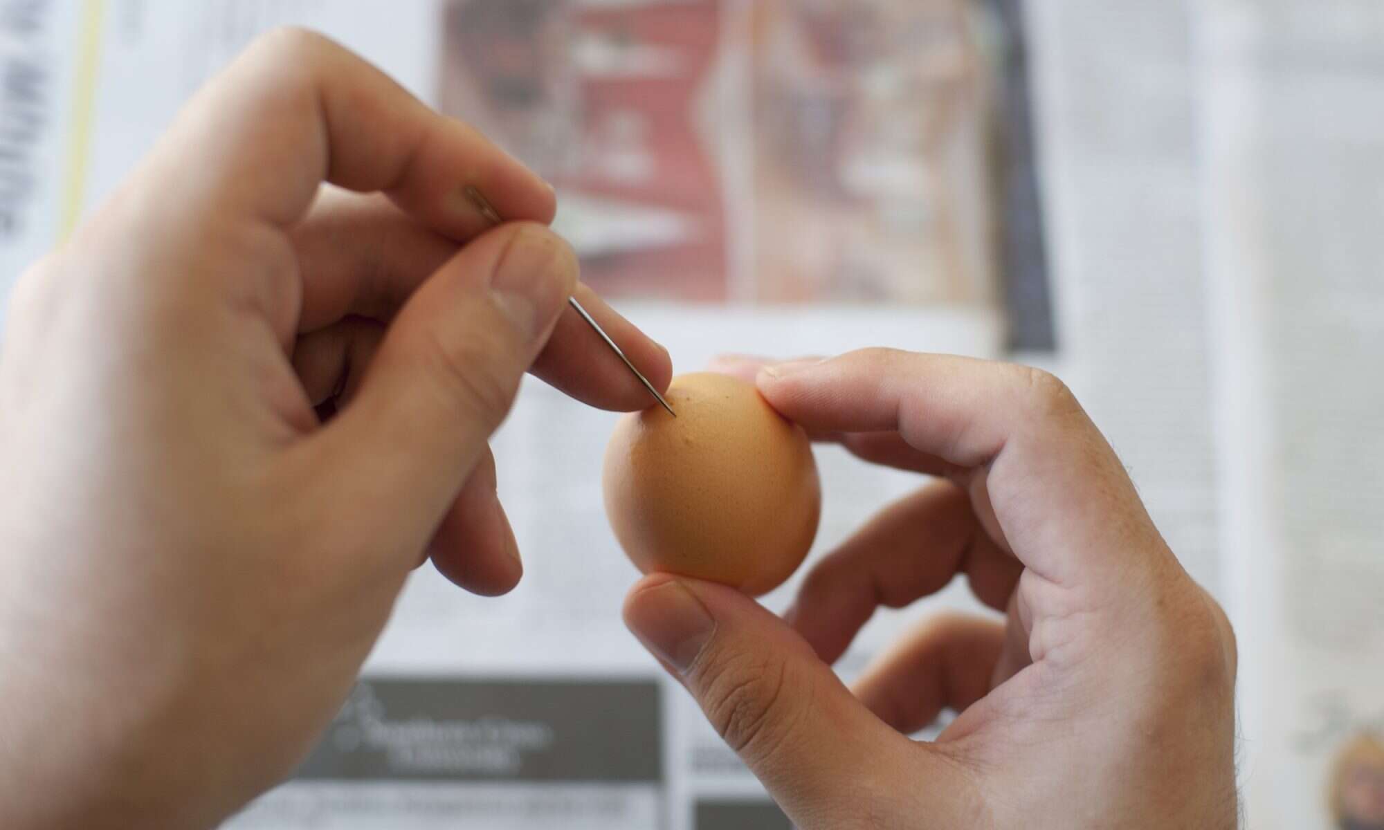 Easily crack the top off soft- or hard-boiled eggs - The Gadgeteer