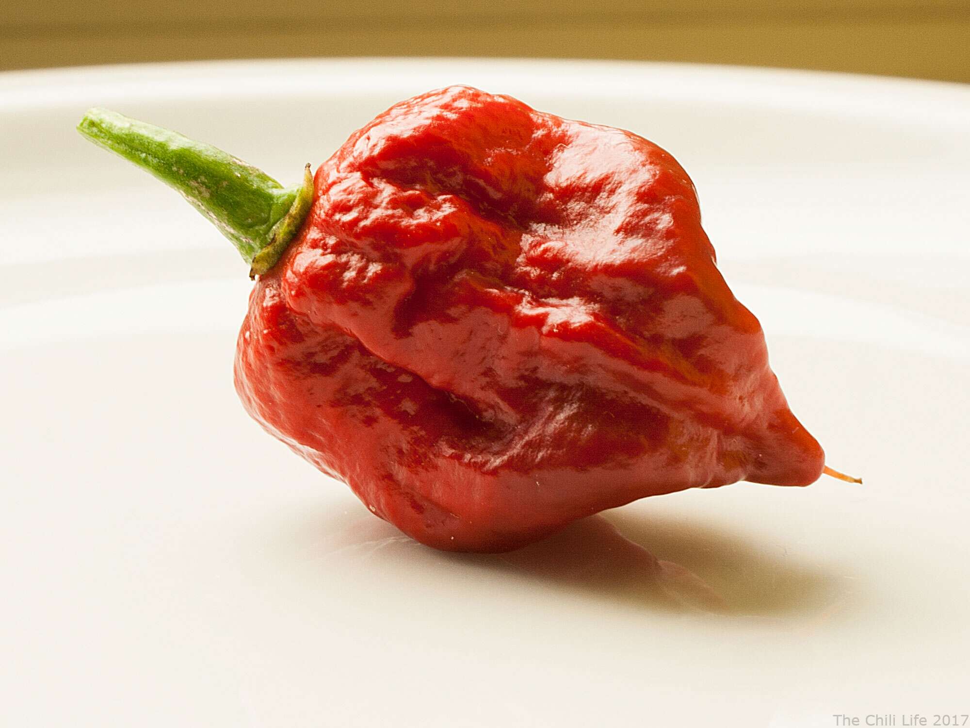 Brain effects of 'hottest pepper in the world' put man in hospital