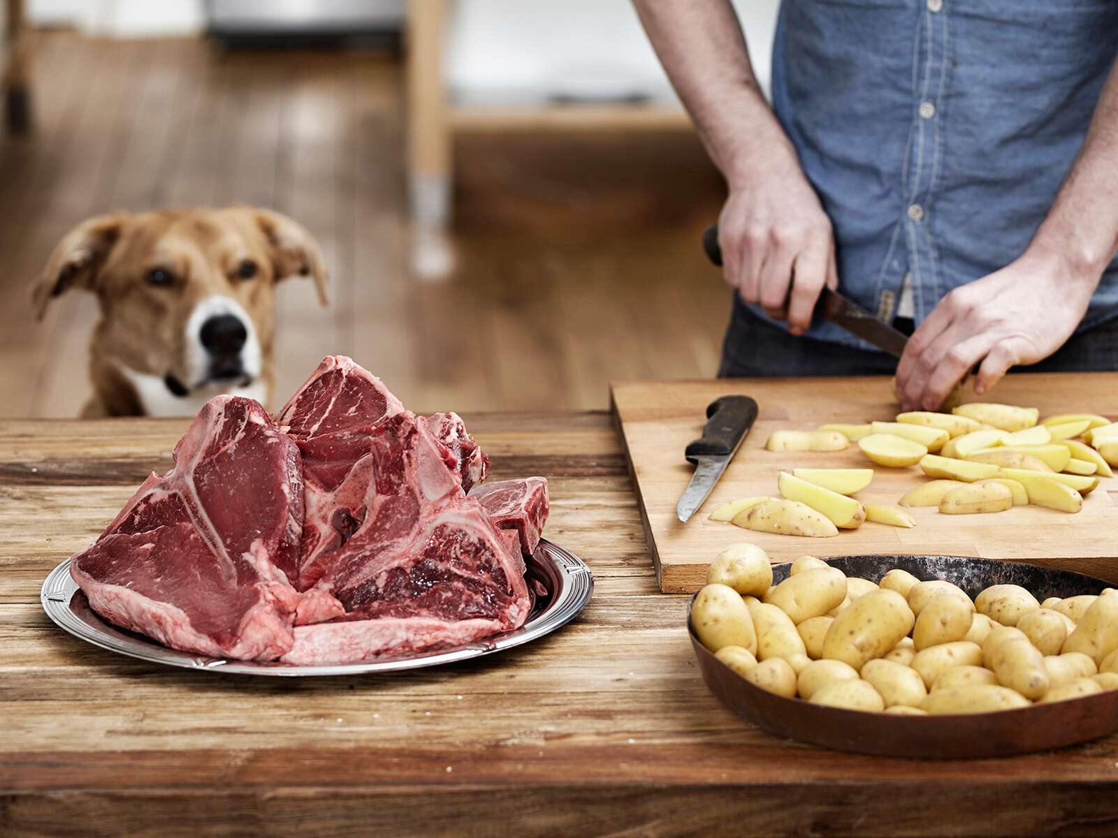 can i give my dog cooked steak