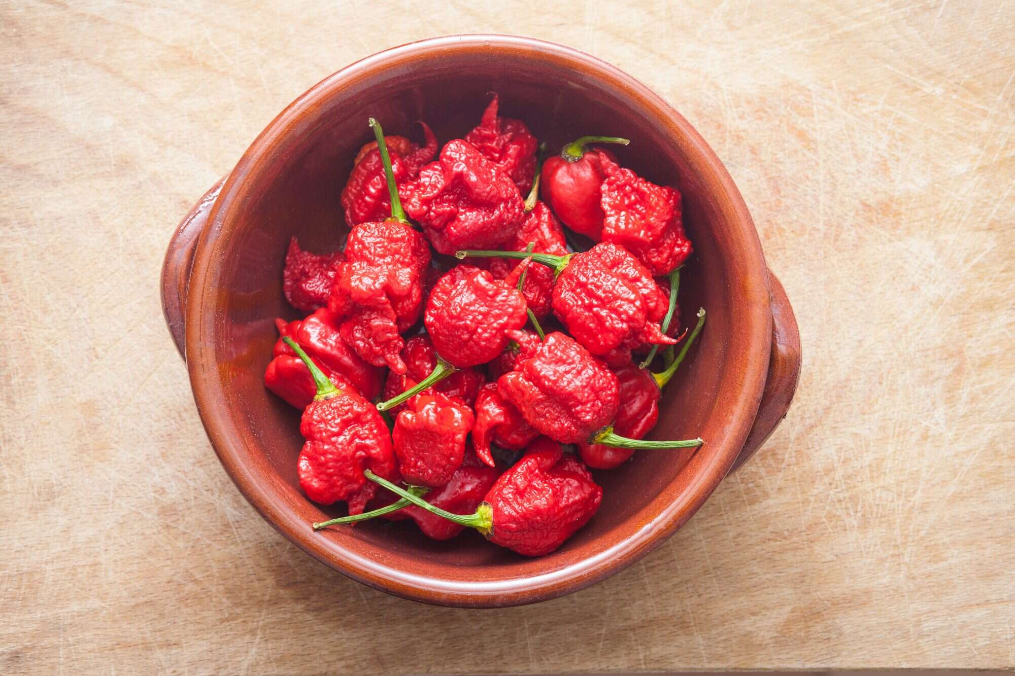 Pepper Hot, Carolina Reaper