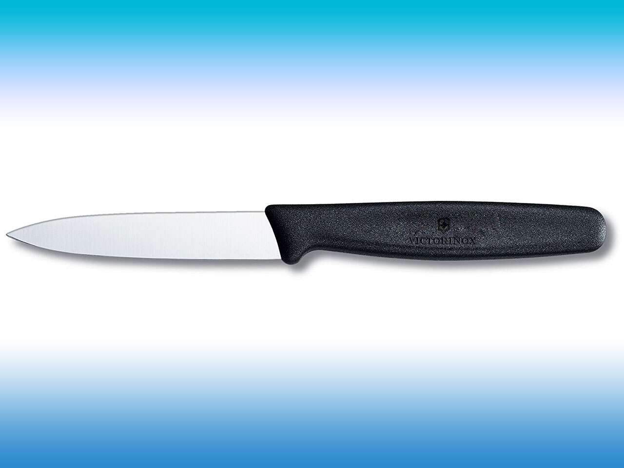 What Is a Paring Knife Used For?