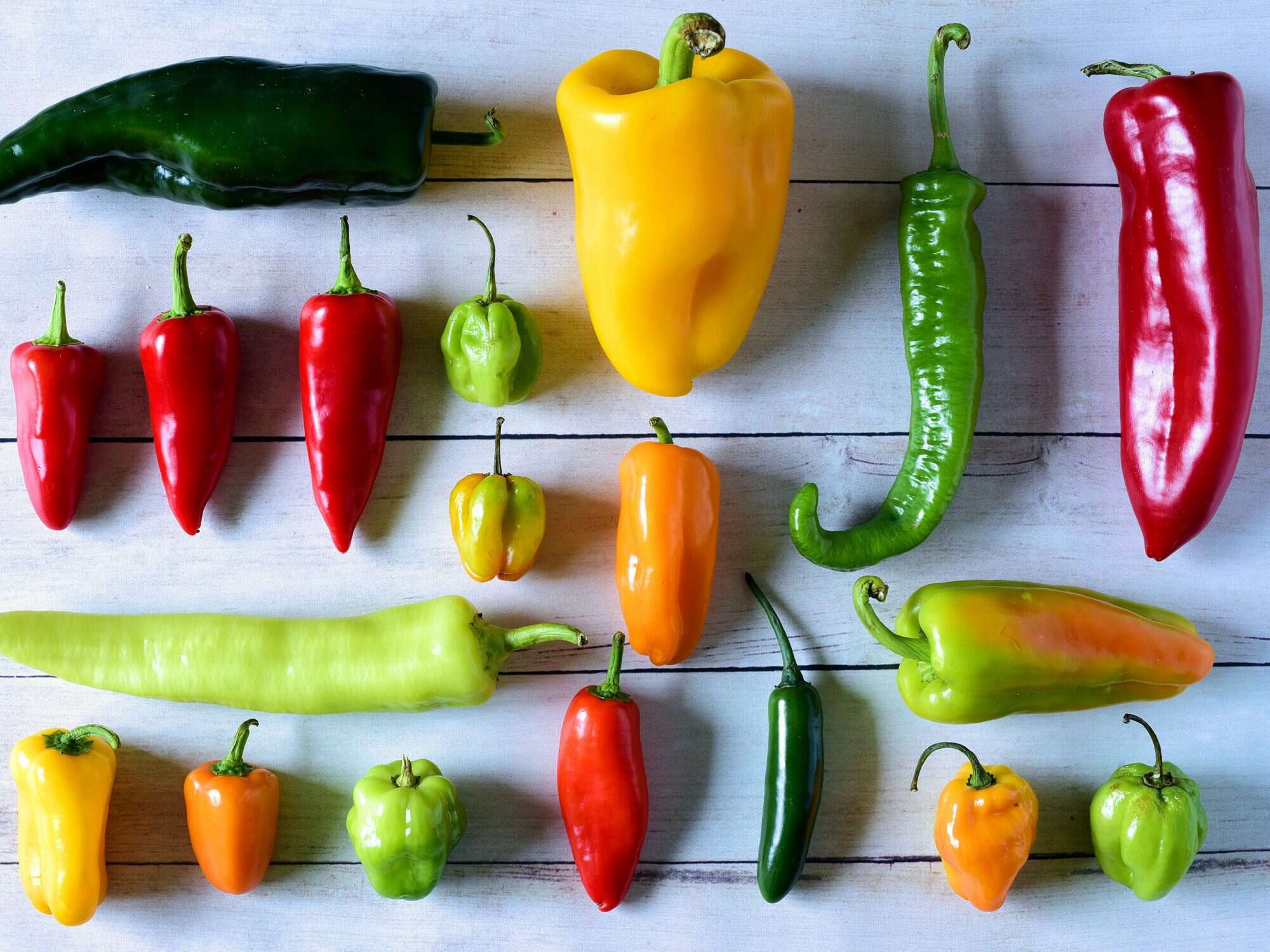 Your Guide to the 10 Chile Peppers Most Likely to Show Up in a