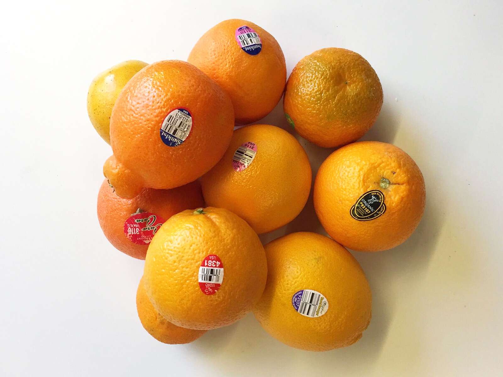 Mandarin Fruit Products - Manufacturer and Supplier