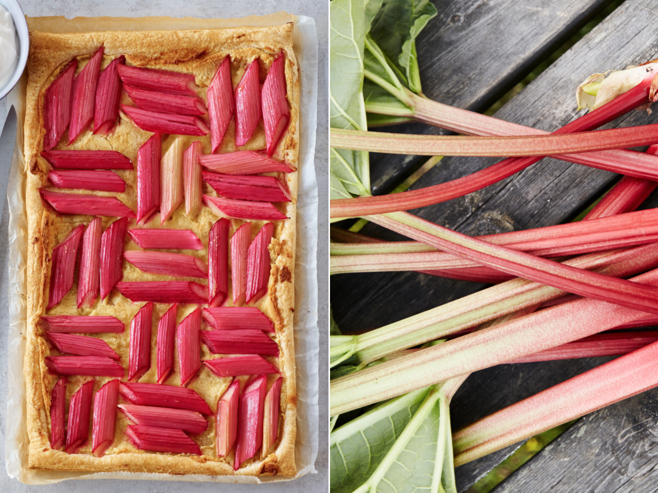 when can i buy rhubarb