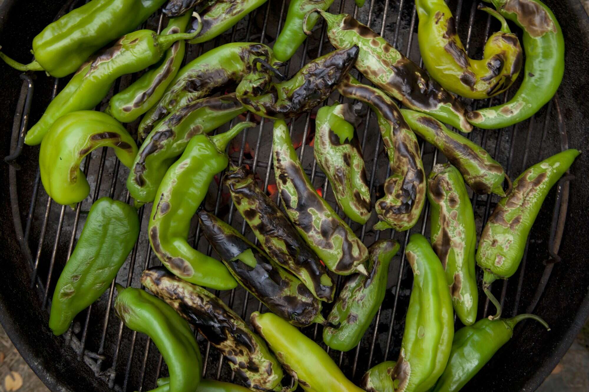 What Are Hatch Chiles and How to Use Them