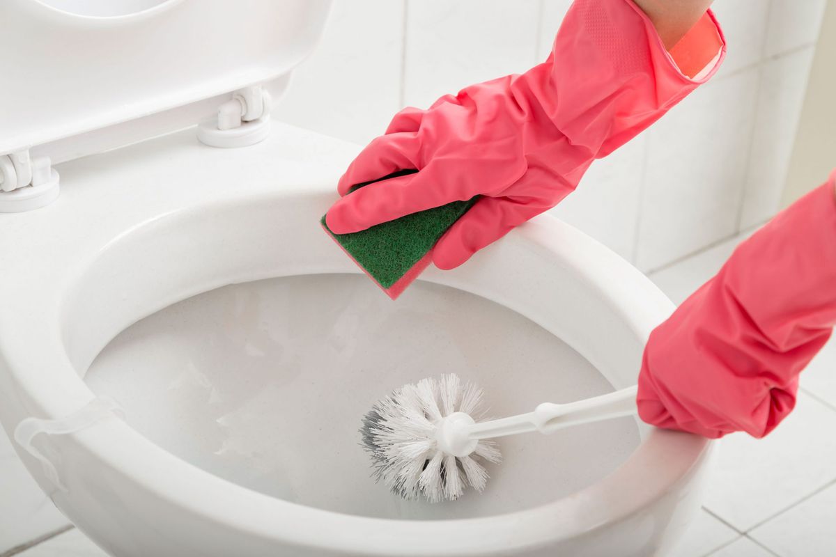 How to Clean a Dirty Toilet with Coca-Cola  Southern Living