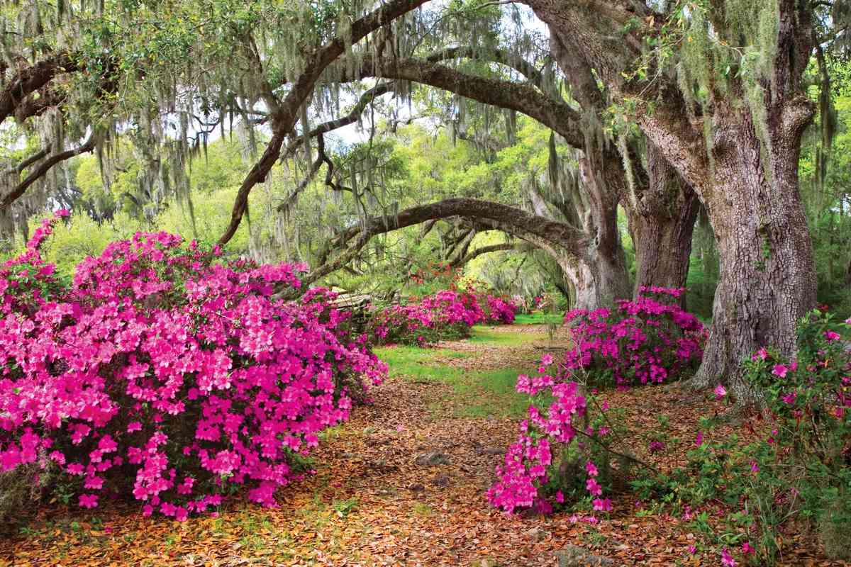 These Must Visit Botanical Gardens Will Give You Spring Fever