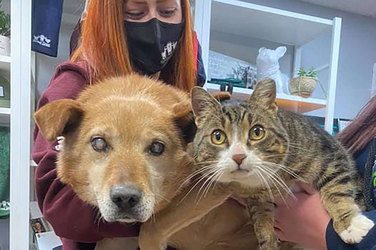 This Blind Dog and His Support Cat Are Adopted Into a New Family Together