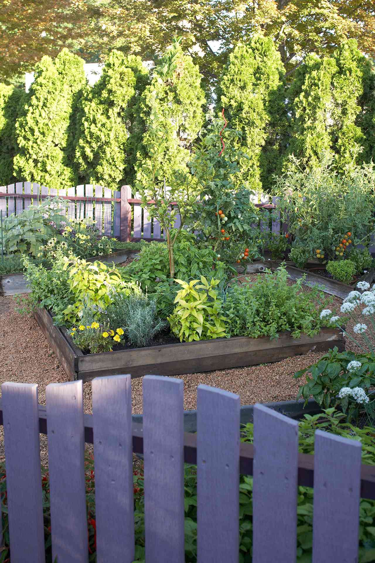 Tips For Growing An Organic Vegetable Garden Better Homes Gardens