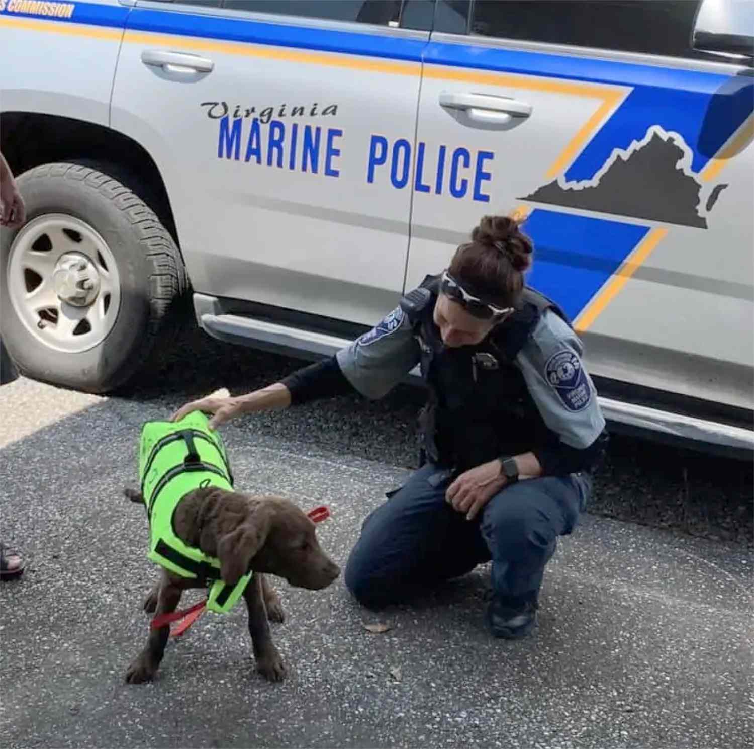 Retriever Puppy Swept Away from Beach, Rescued by Marine Police