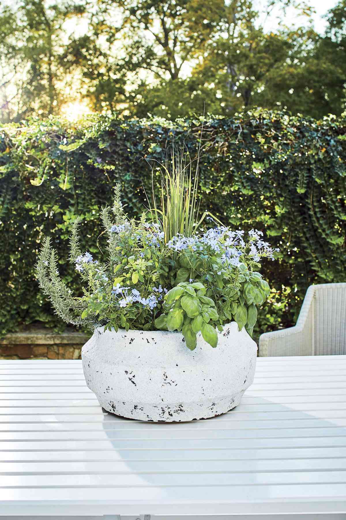125 Container Gardening Ideas Southern Living