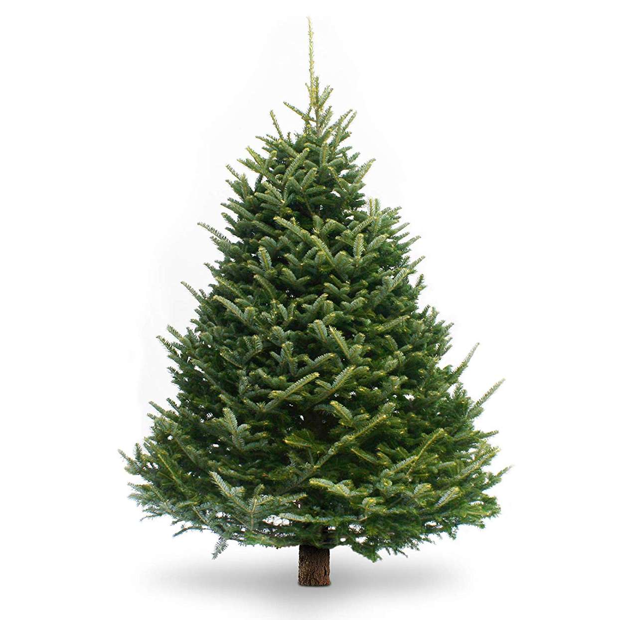 Get A Fresh Christmas Tree Delivered To Your Door This Season