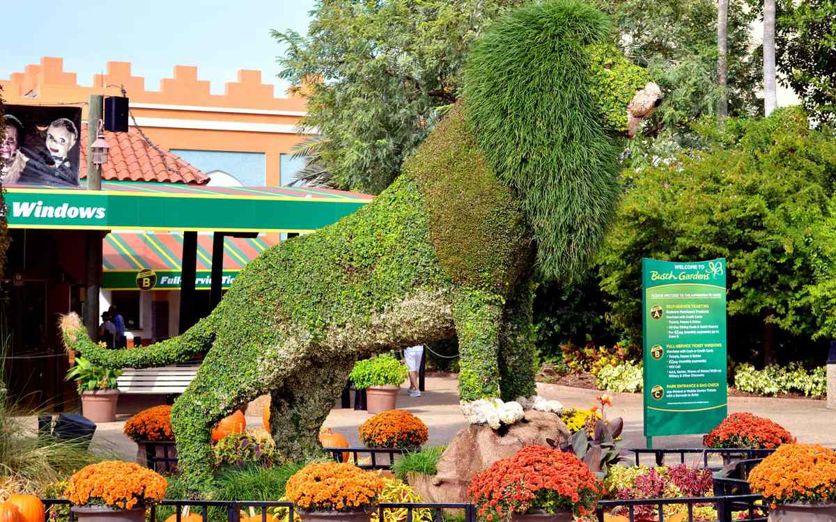 Busch Gardens Tampa Bay Florida Theme Park Tampa Florida