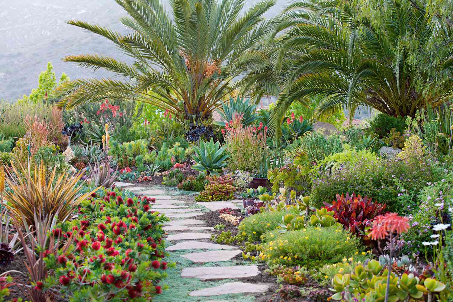 Best Plants For Landscape Edging Better Homes Gardens