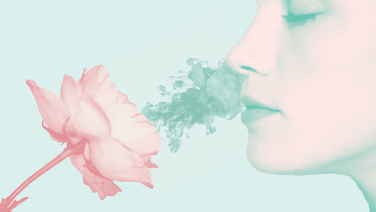 Lost Sense of Smell May Be a Symptom of Coronavirus, According to ExpertsLost your sense of smell? It may not be coronavirus.