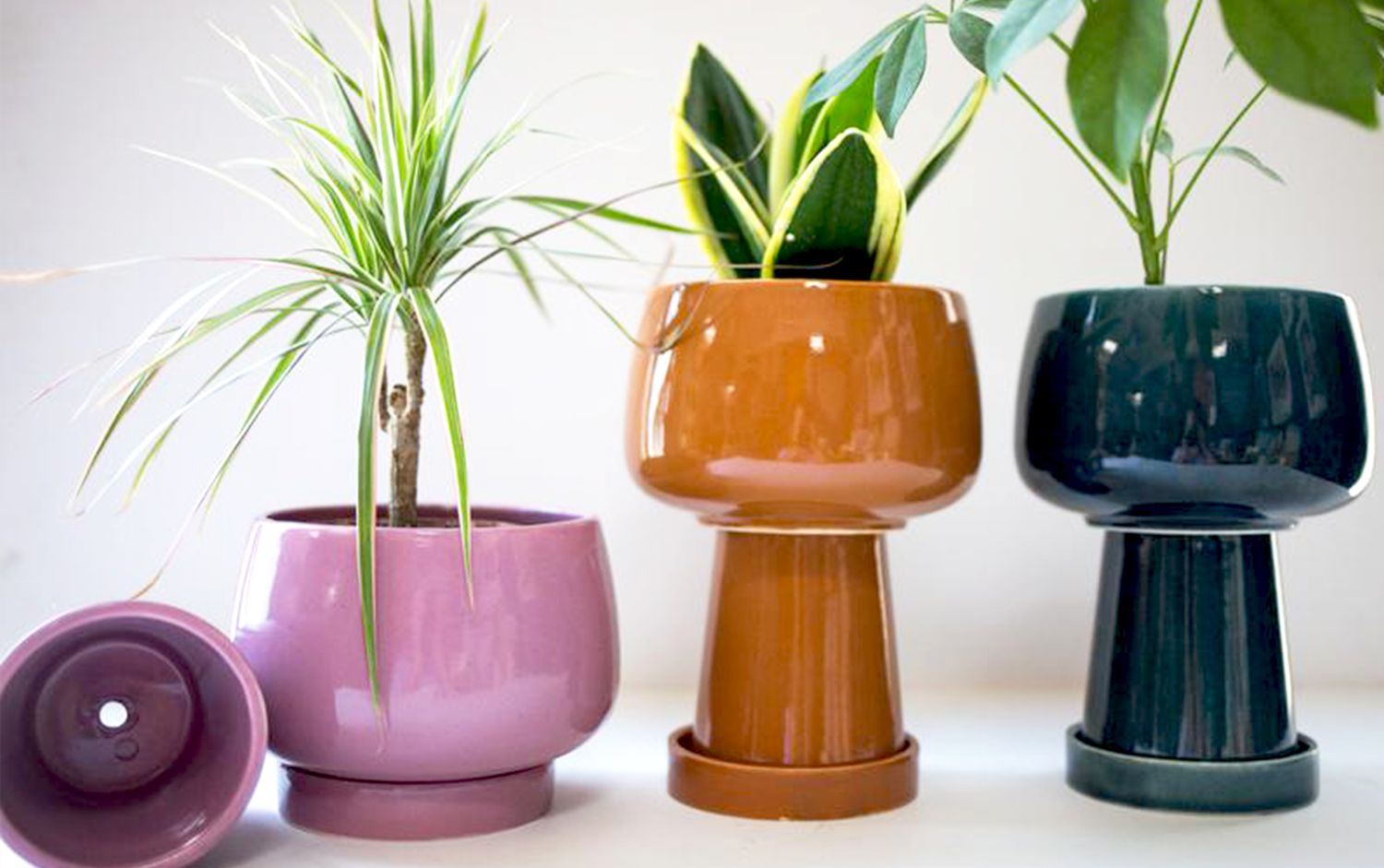 5 Decorative Planters for Indoor Gardens That Double As Art | Better