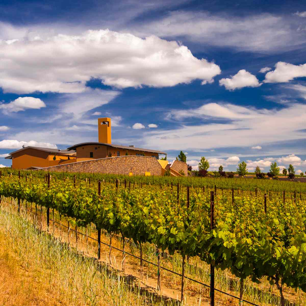 Best Washington Wineries | Food & Wine