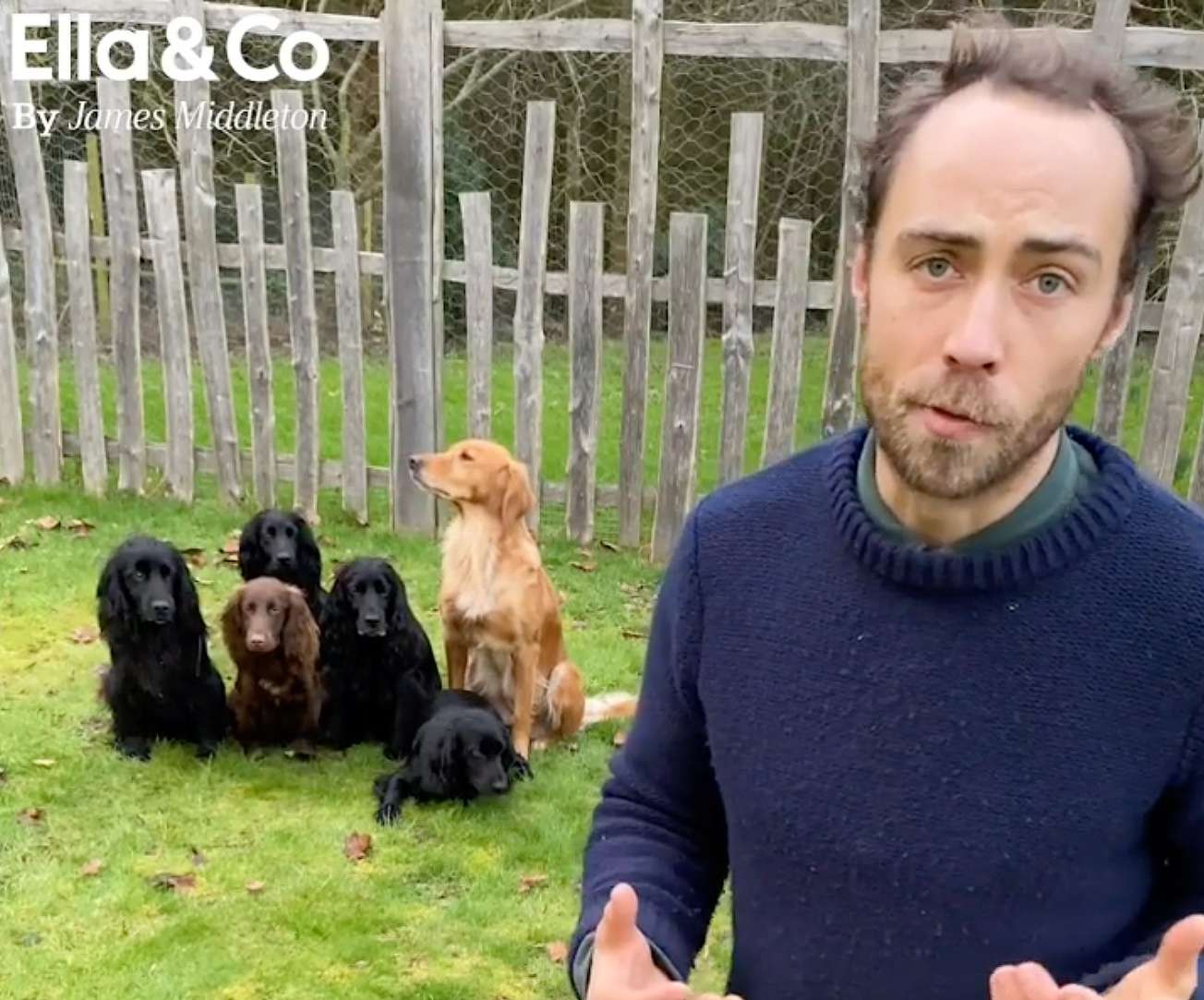 James Middleton Introduces Dog Training Videos