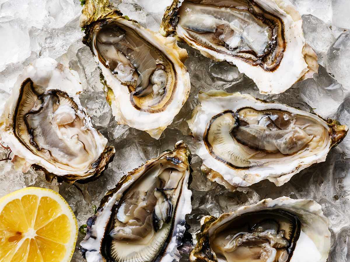Guide to Shucking Oysters With Ease