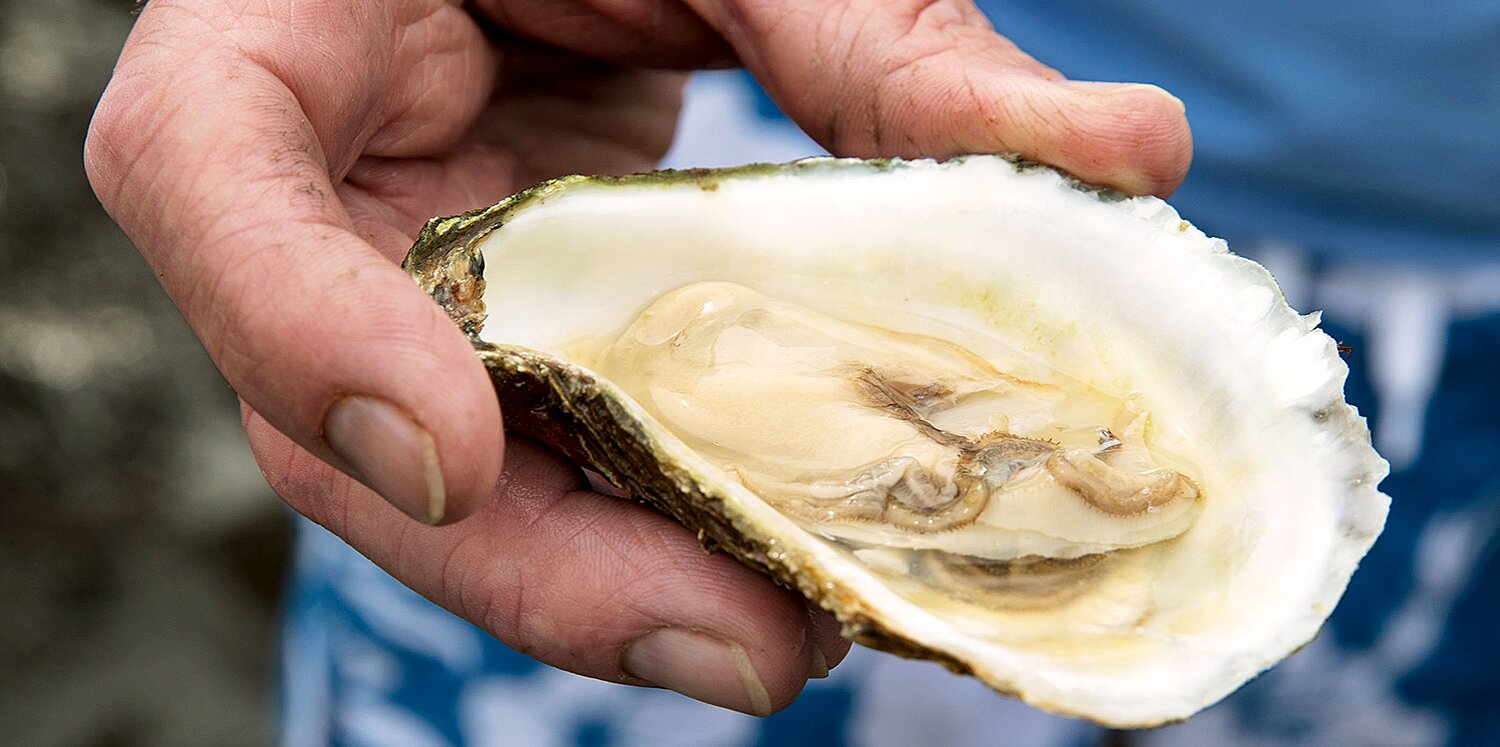 Are Oysters Really An Aphrodisiac? Or Is It Just A Shucking Myth? - Chef  John Howie
