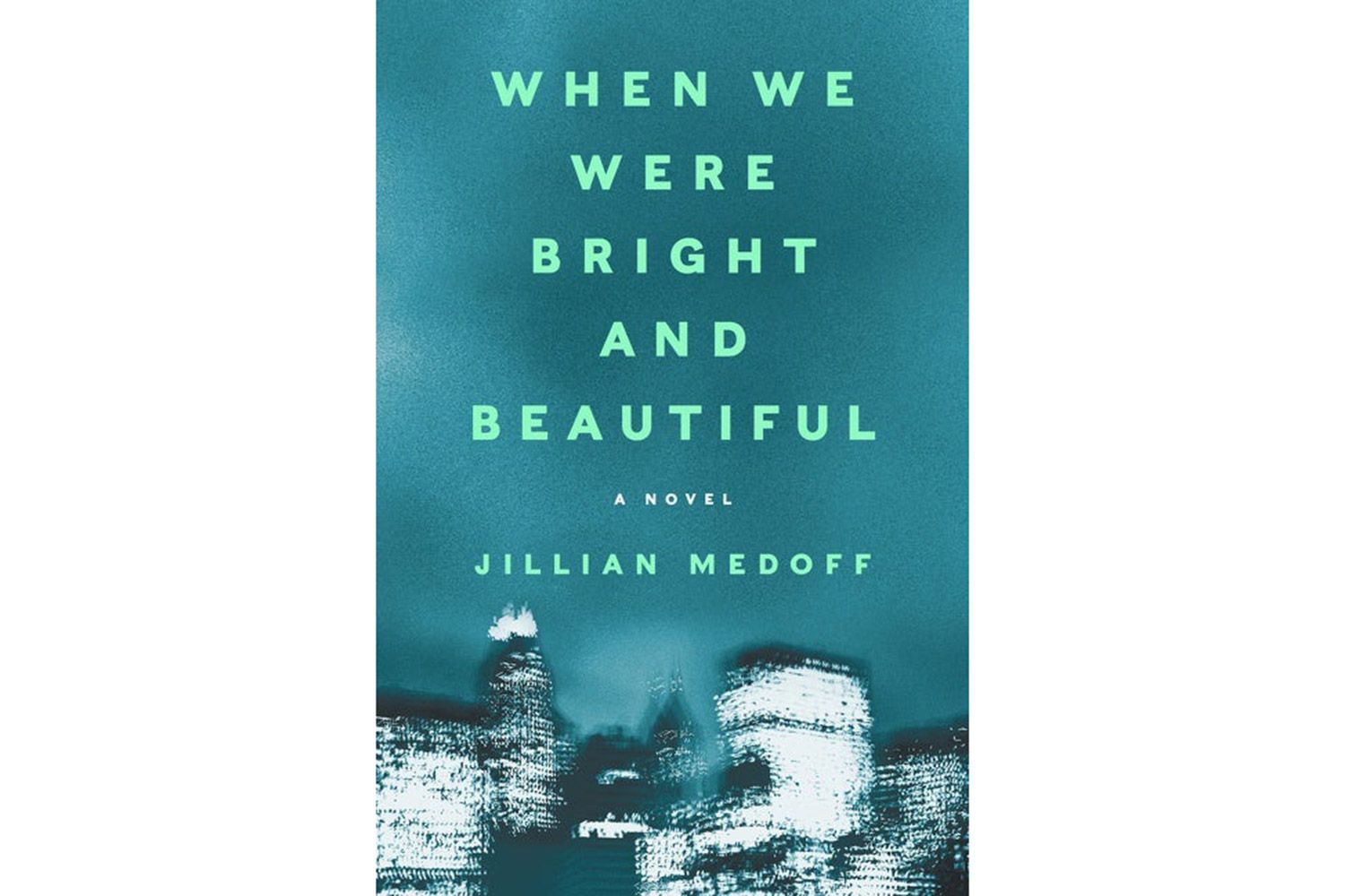 Preview When We Were Bright and Beautiful by Jillian Medoff