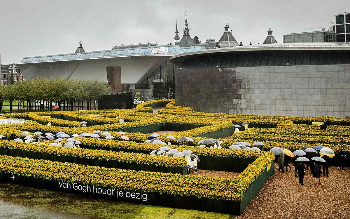A Sunflower Maze Sprouts In Amsterdam In Honor Of Van Gogh Travel Leisure