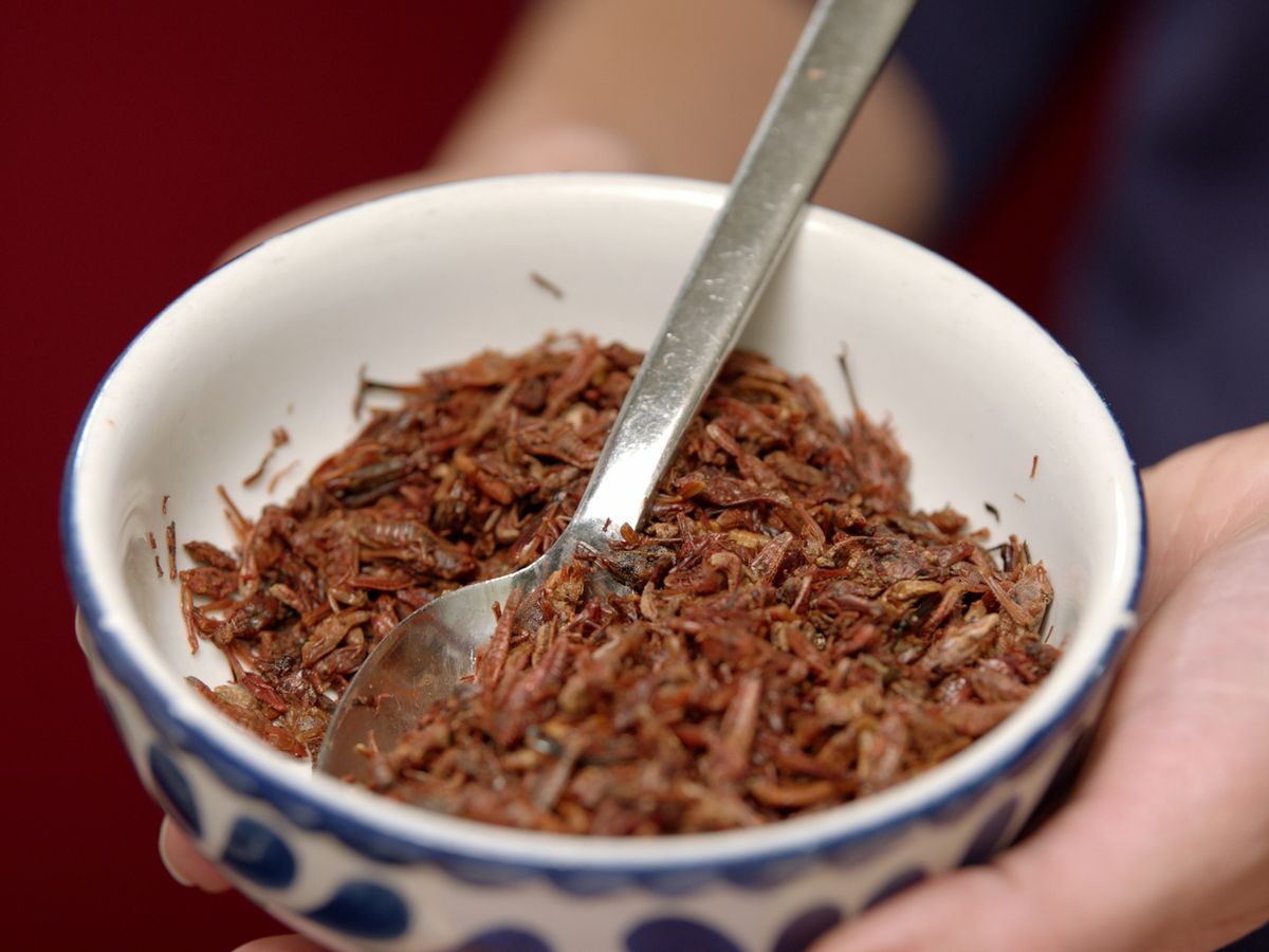 How to Swap Insect Ingredients Into Your Diet
