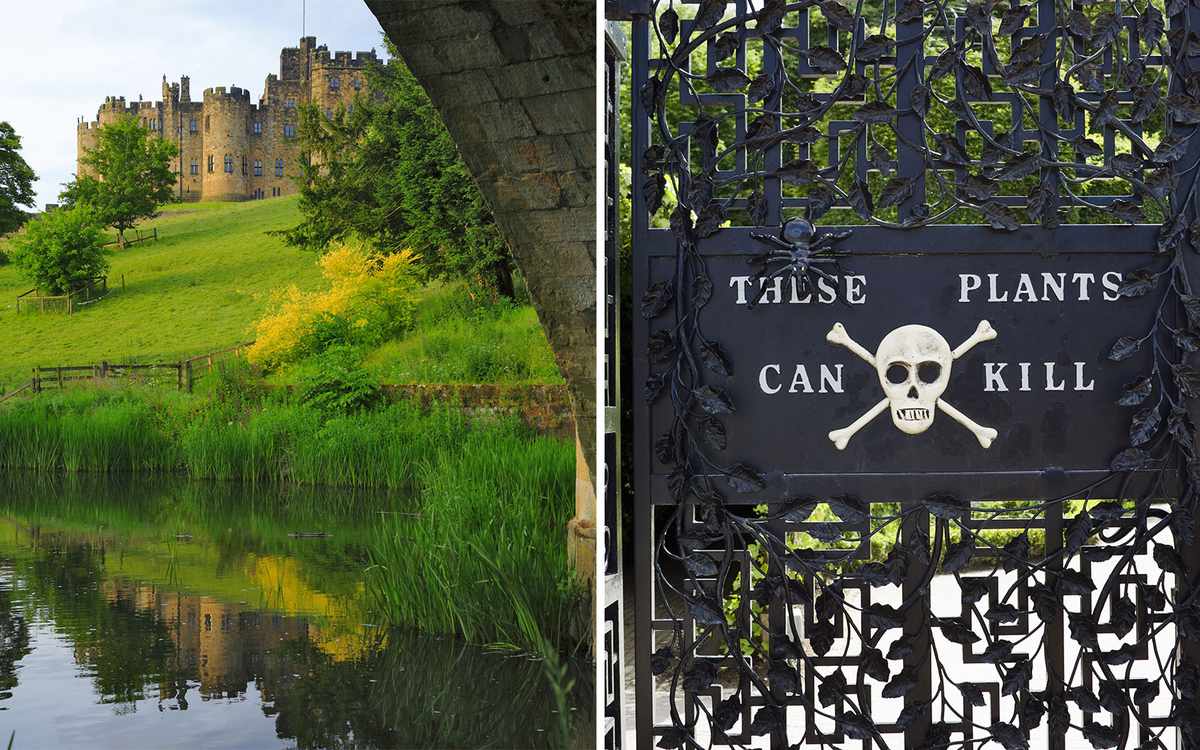 Alnwick Castle Rsquo S Poison Garden Travel Leisure