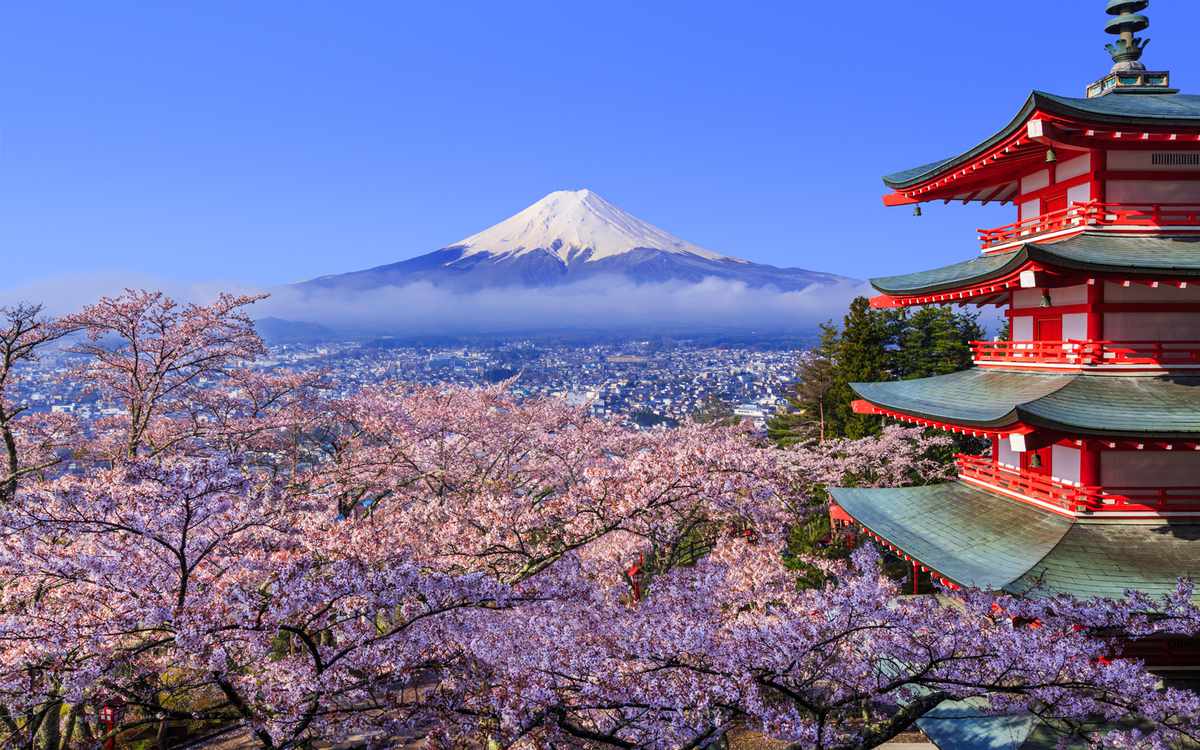 japan-cherry-blossom-festival-2018-where-and-when-to-visit-travel