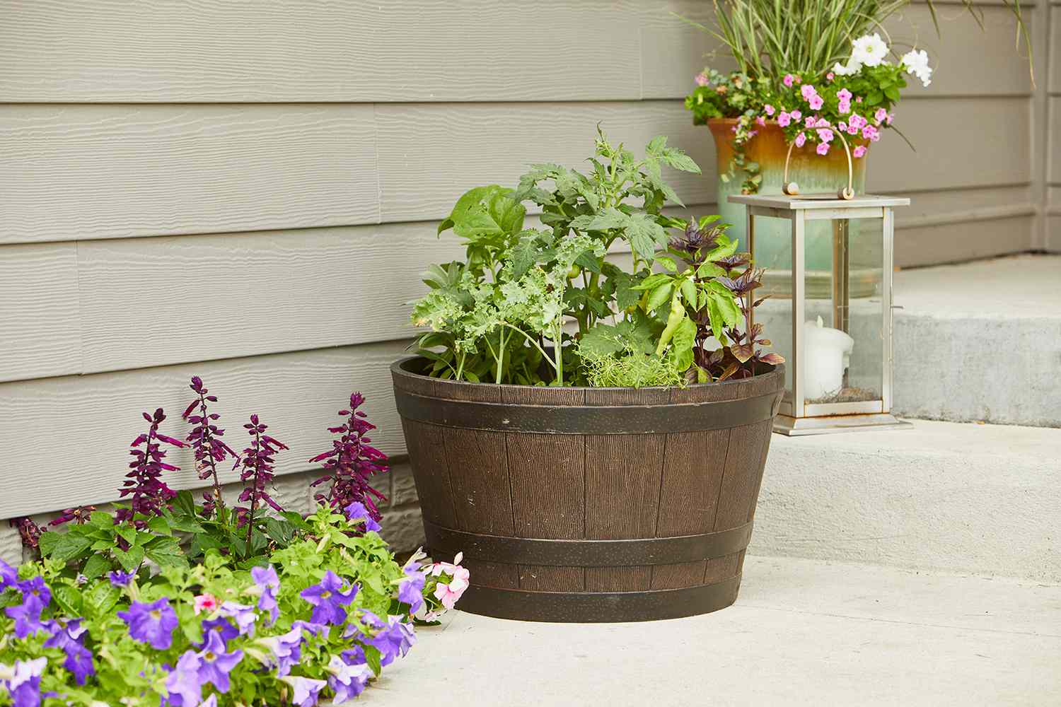Growing Vegetables In Containers Better Homes Gardens