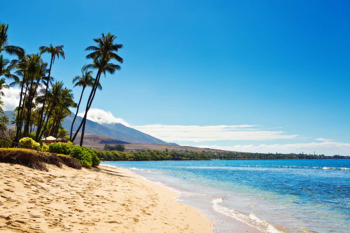 I Traveled To Maui During The Covid 19 Pandemic Here S What It Was Really Like Travel Leisure