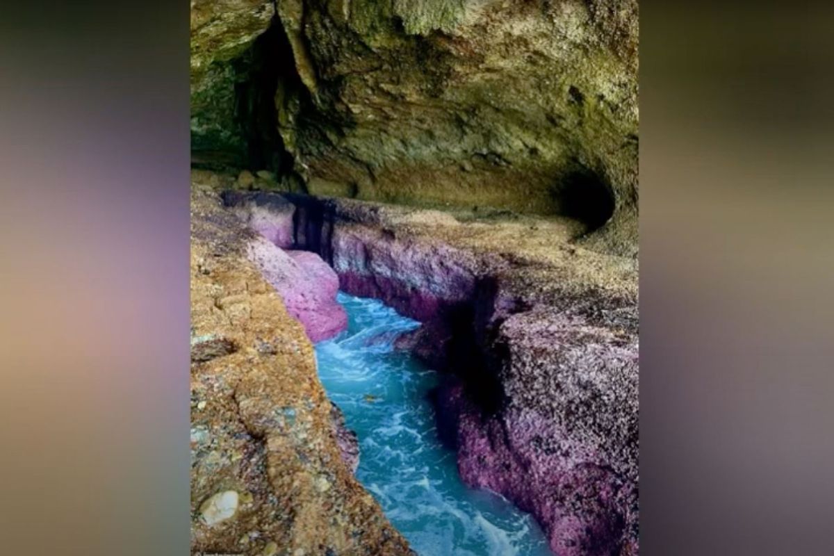 there-are-pink-cotton-candy-caves-in-australia-and-theyre-absolutely-stunning