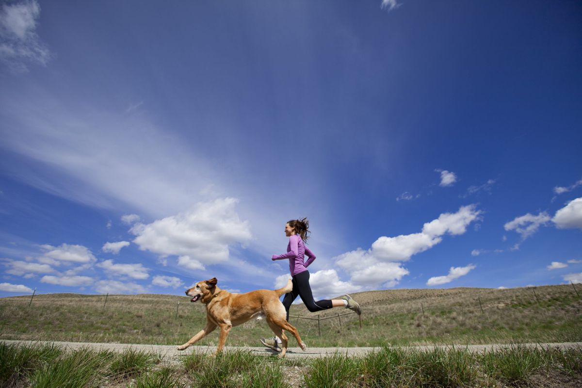 11 Creative Ways to Sweat With Your Dog