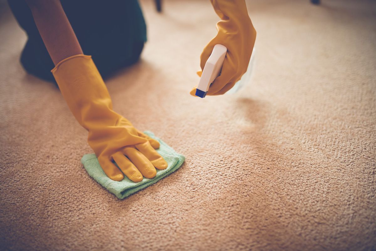 Folex Carpet Spot Remover Works on Both Old and New Stains