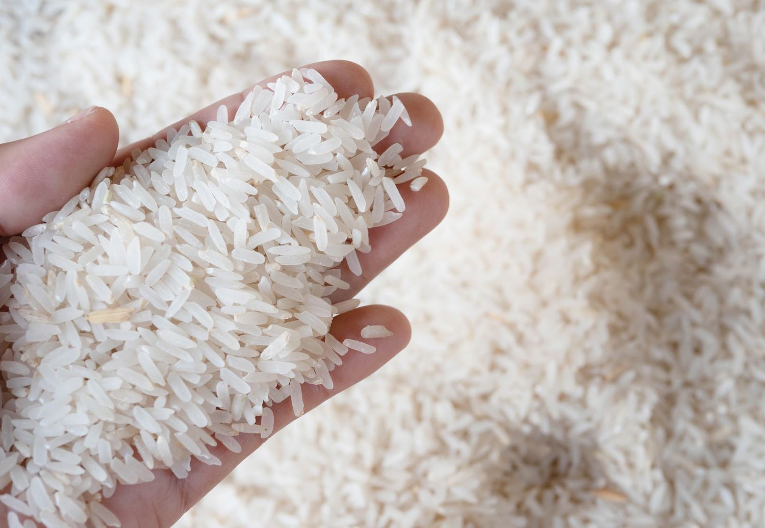 What is Calrose Rice? | Allrecipes