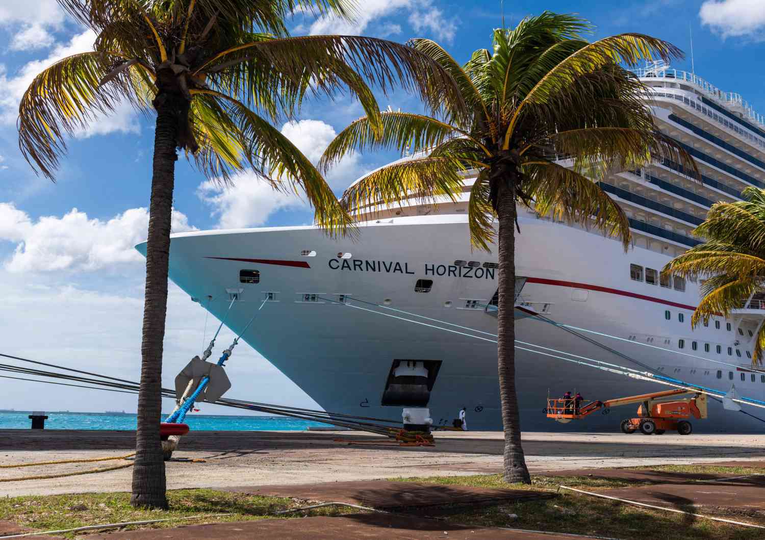 carnival panorama cruise death