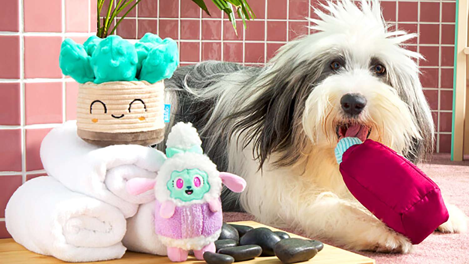 8 Best Dog Subscription Boxes for Treating Your Pup in 2021