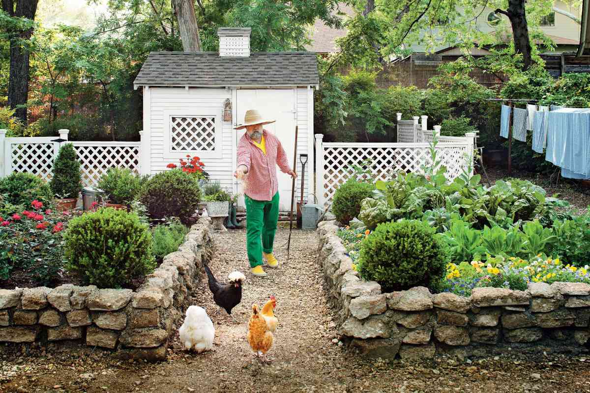 Raising Chickens In The South Southern Living