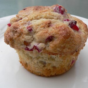 Cranberry Pecan Muffins