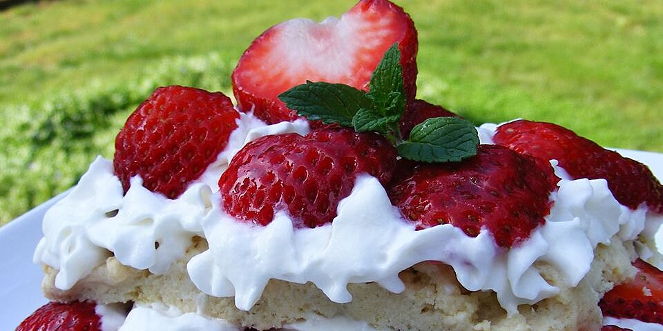Scrumptious Strawberry Shortcake Recipe Allrecipes